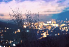 輕鋼別墅: 遠(yuǎn)離城市喧囂，獨(dú)享一方寧靜