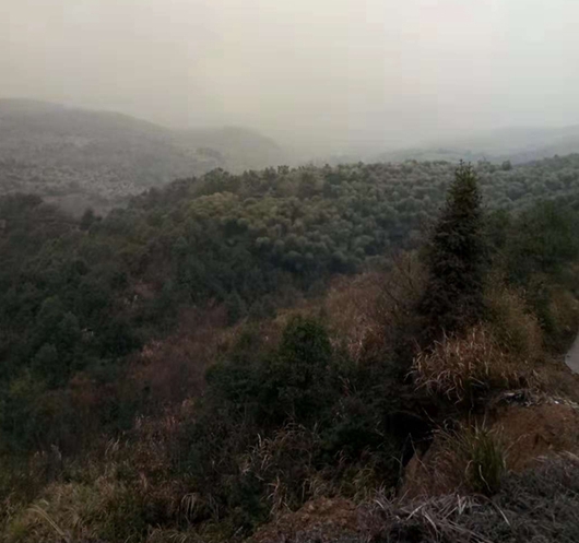 有故鄉者擁有幸福 ,你在他鄉還好嗎?(圖2) 有故鄉者擁有幸福 ,你在他鄉還好嗎?(圖2)