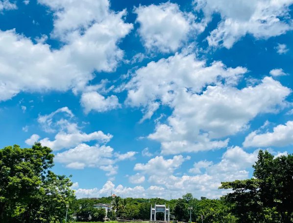 海南：放寬社會資本進入農村的限制！中國大農場時代來臨？(圖1)