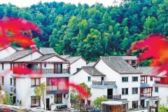 2021年杭州計劃新開工裝配式農房4.3萬㎡，大約完成6000戶的農房建設！